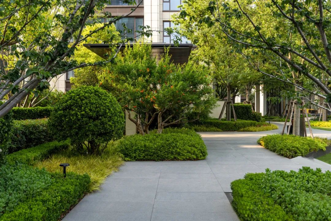 郑州中建·柒號院 | 北京顺景园林 ARCHINA 项目
