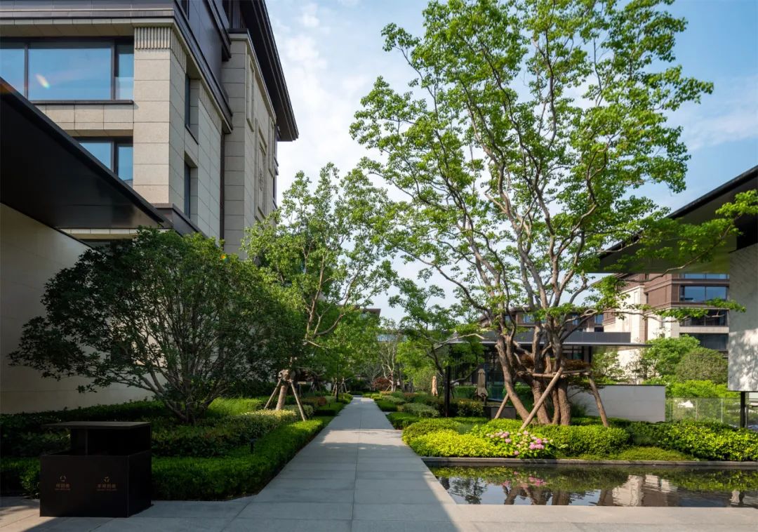 郑州中建·柒號院 | 北京顺景园林 ARCHINA 项目