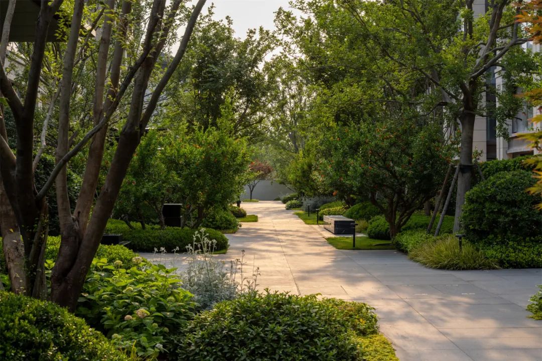 郑州中建·柒號院 | 北京顺景园林 ARCHINA 项目