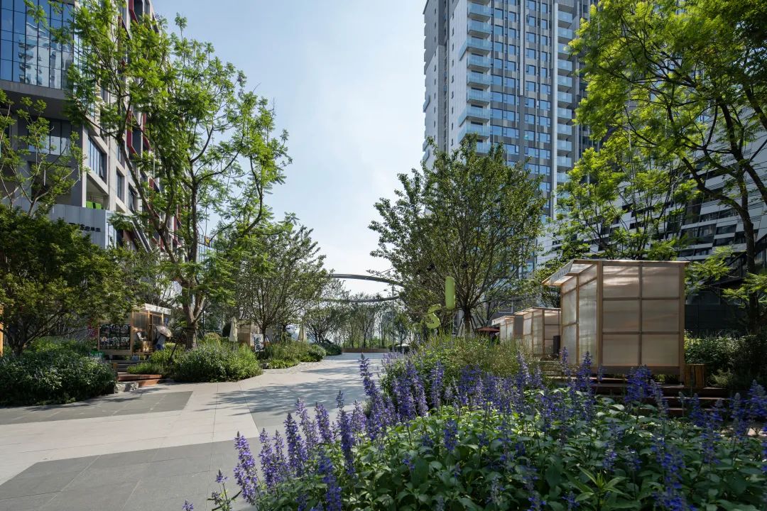 成都万华 · 麓坊中心B馆 · 麓坊街景观设计丨致澜景观 ARCHINA 项目