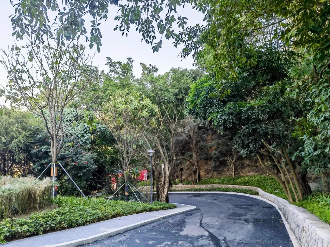小南山公园北入口环境提升工程 | 文科园林 ARCHINA 项目