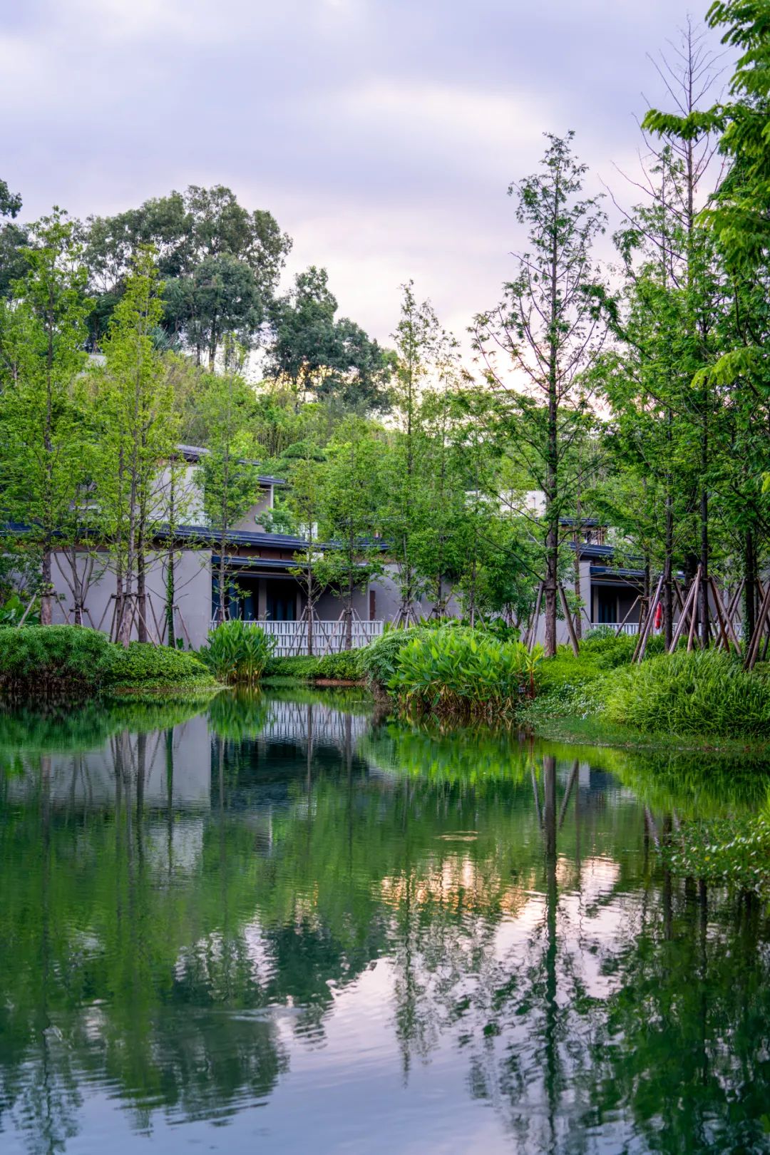 东莞松山湖悦榕庄酒店 | 山水比德 ARCHINA 项目