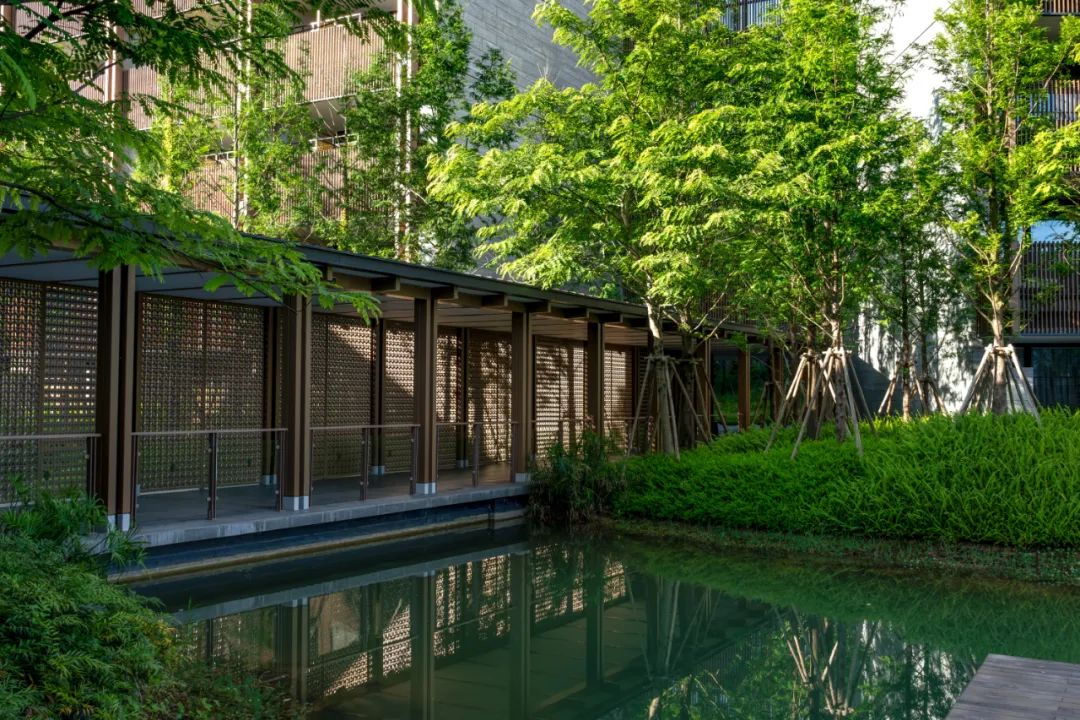东莞松山湖悦榕庄酒店 | 山水比德 ARCHINA 项目