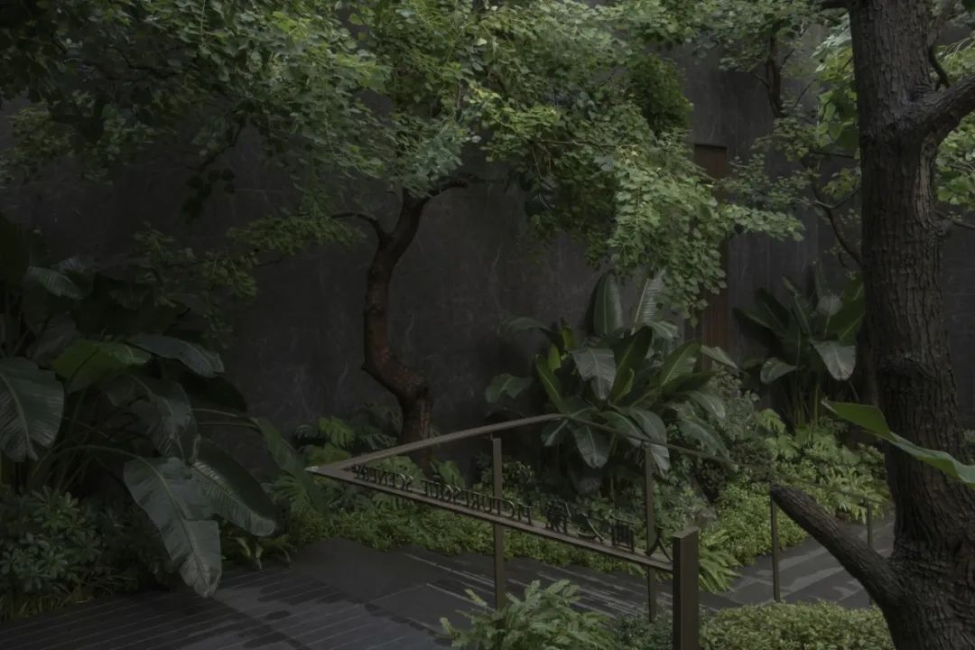 DSCF0462.jpg
