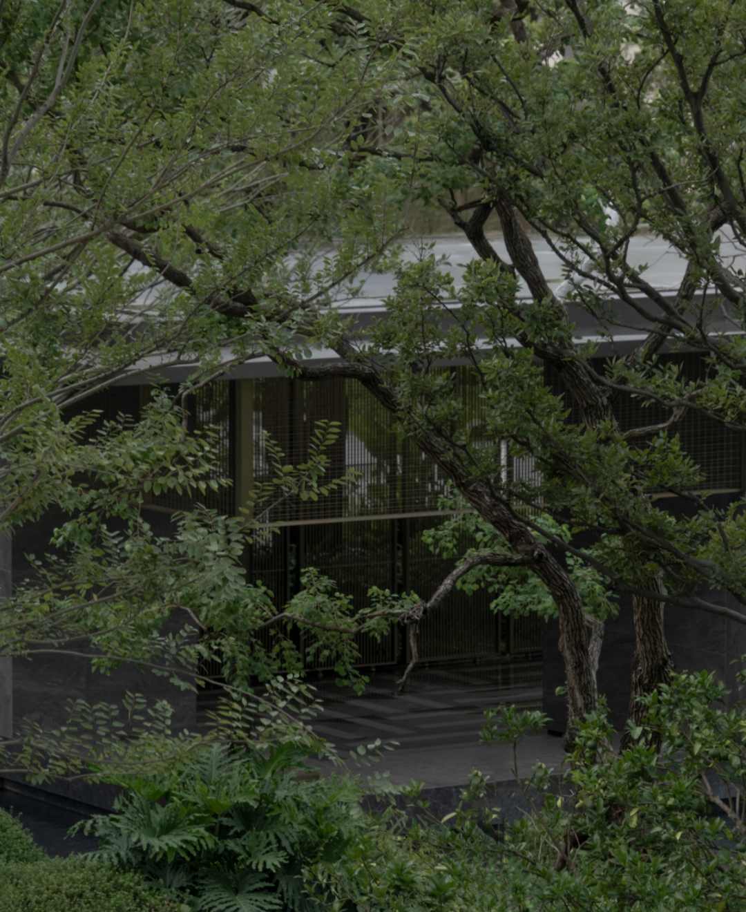 DSCF0539.jpg