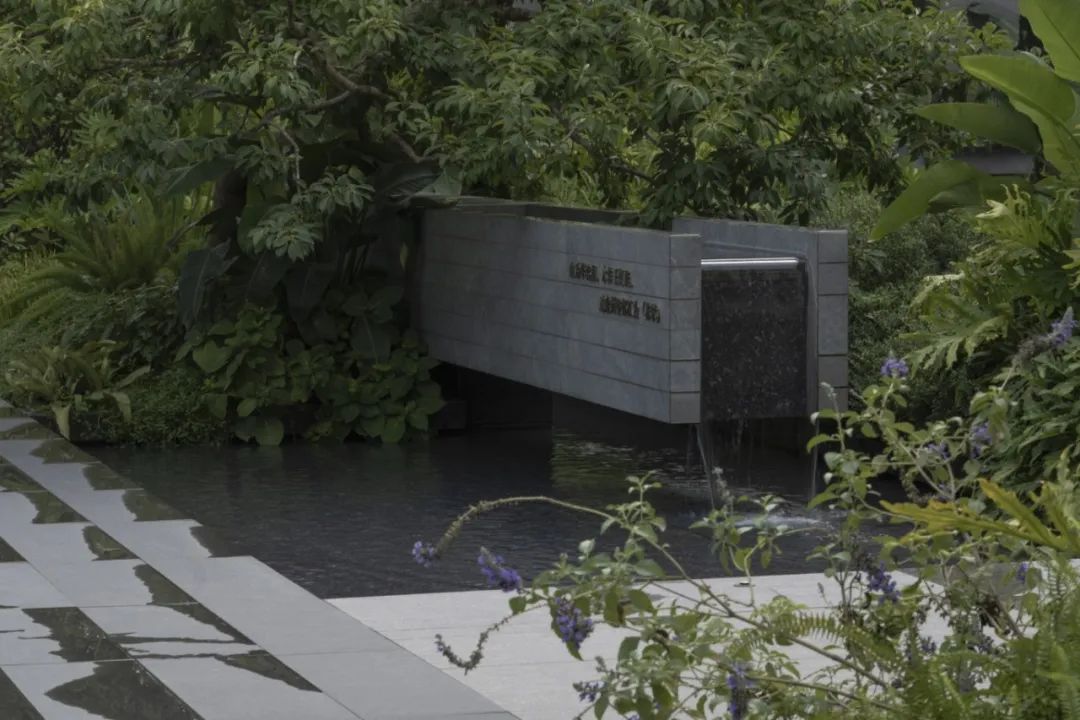 DSCF0457.jpg