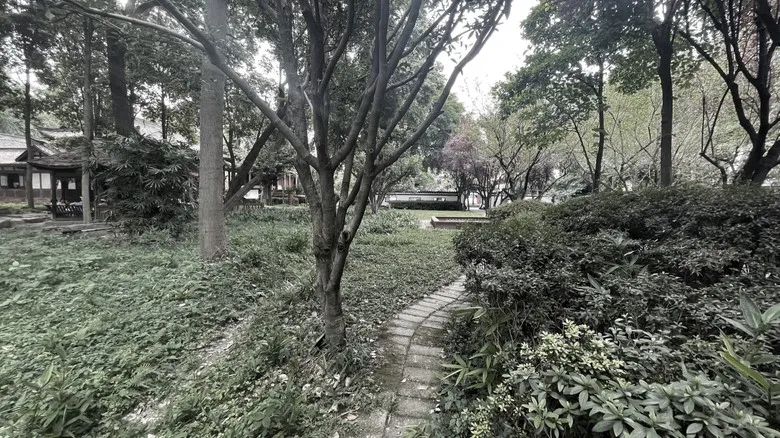 成都望丛祠的更新改造｜中国建筑西南设计研究院 ARCHINA 项目