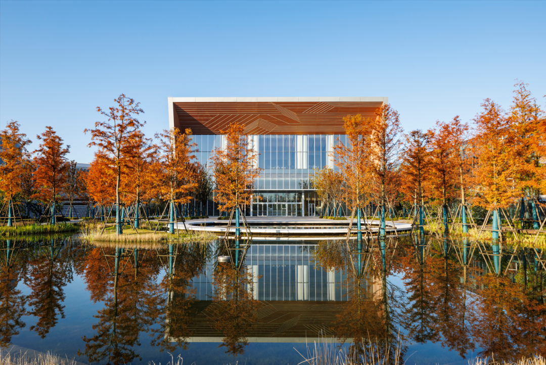 阿里巴巴南湖未来科学园|阿普贝思景观设计 ARCHINA 项目