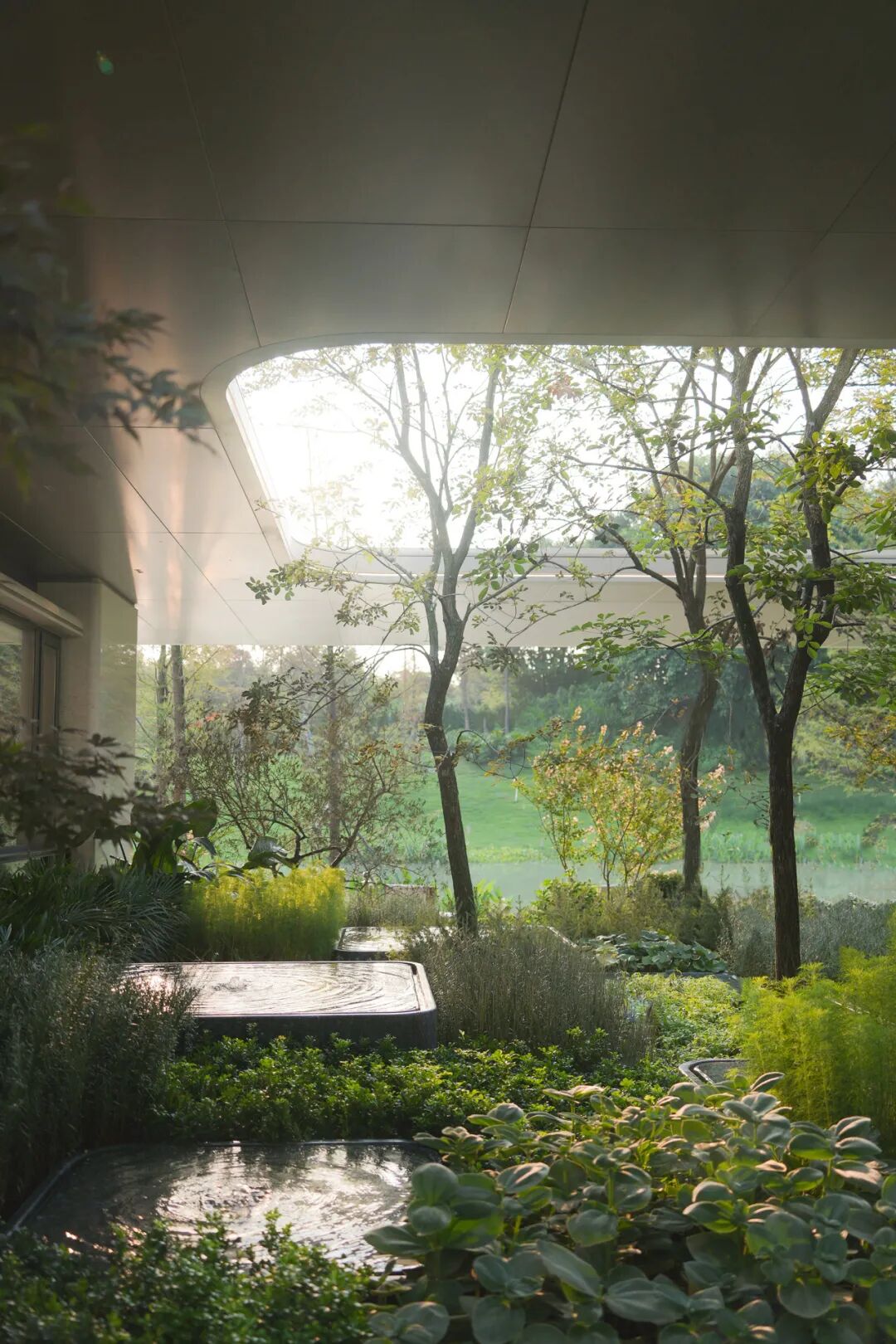 招商·佛山序 | 麦微景观 ARCHINA 项目