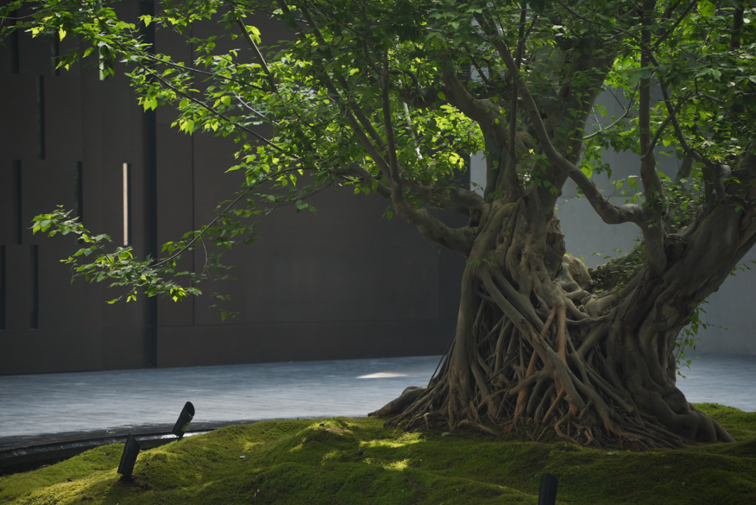 西安玺宸上院 | JTL加特林 ARCHINA 项目