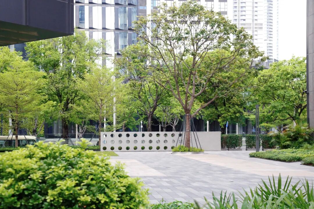 南山中集太子湾大成广场 | 文科绿色科技 ARCHINA 项目