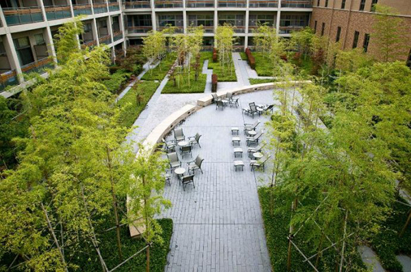 为本地植物和动物提供栖息地_动物世界 为本地植物和动物提供栖息地